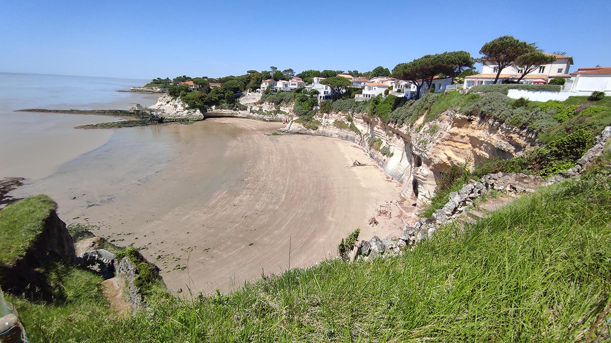 Conche De Cadet &agrave; Meschers