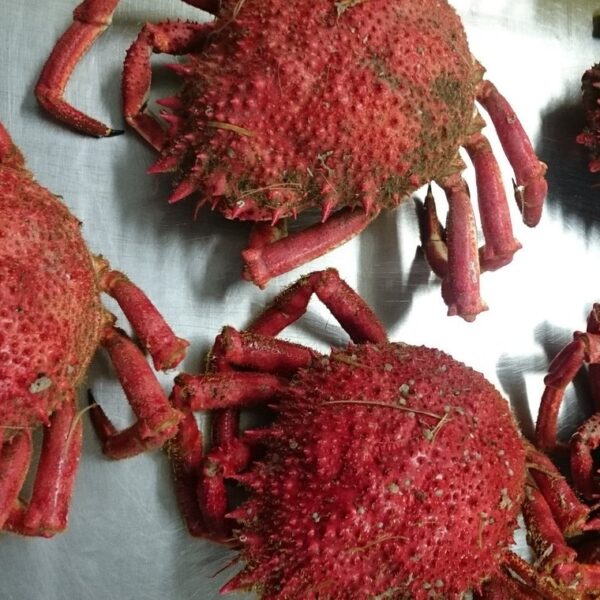 Chez Dédé Plats à emporter