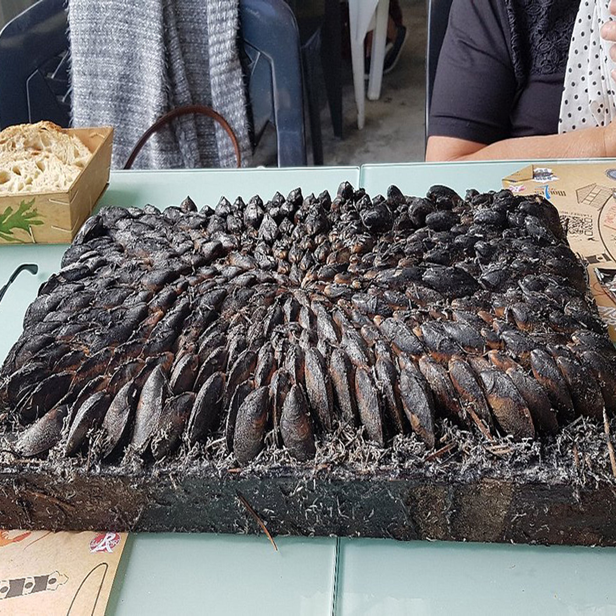 Restaurant Les Hu&icirc;tres Chagnoleau Roch&eacute;