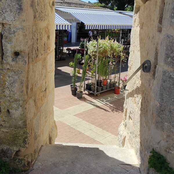 Marché De Meschers Sur Gironde
