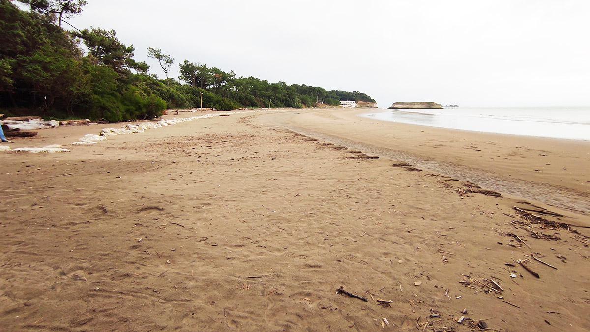 Plage Des Vergnes