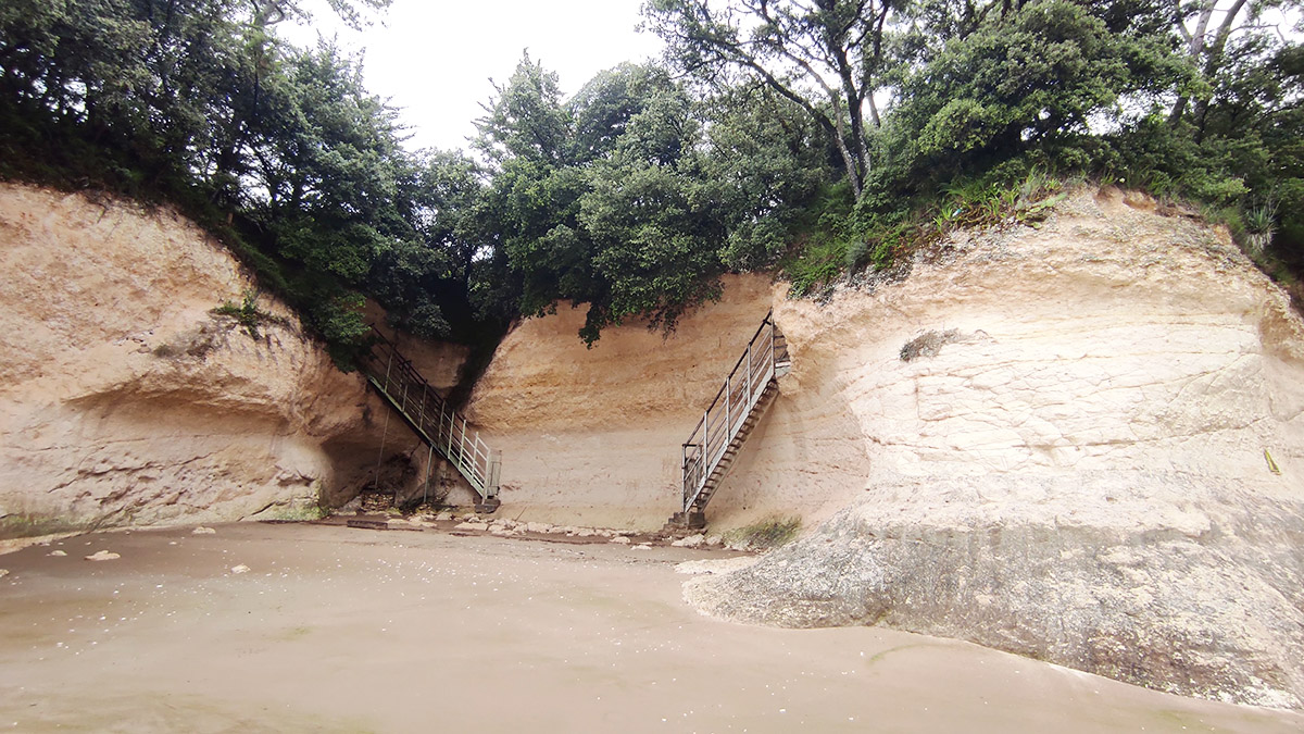 Plage Des Vergnes