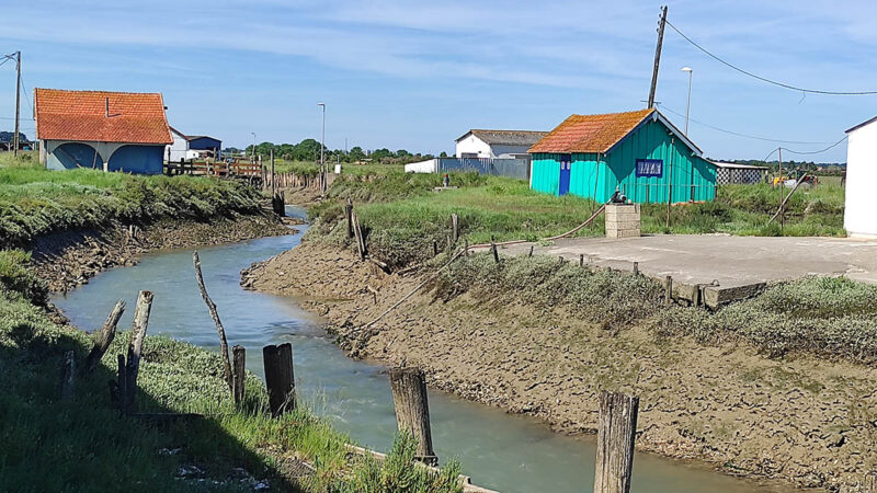 Mornac-sur-Seudre Chenal