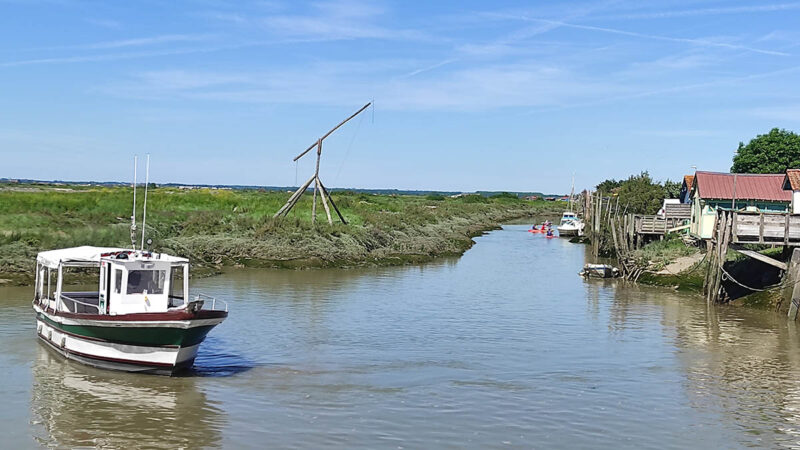 Mornac-sur-Seudre Le port