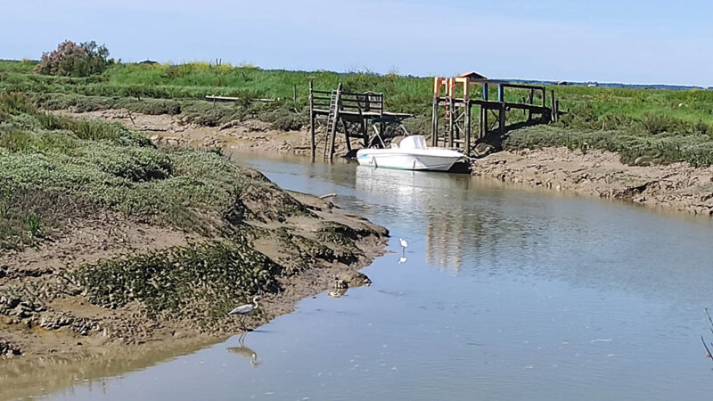Mornac-sur-Seudre Chenal