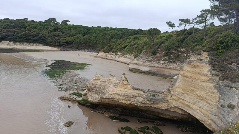 Plage de l'arnèche à Meschers-sur-Gironde