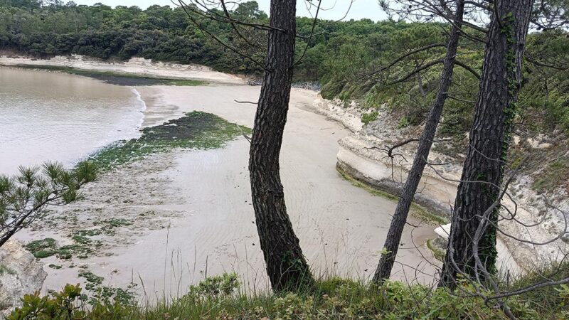 Plage de l'arnèche à Meschers-sur-Gironde