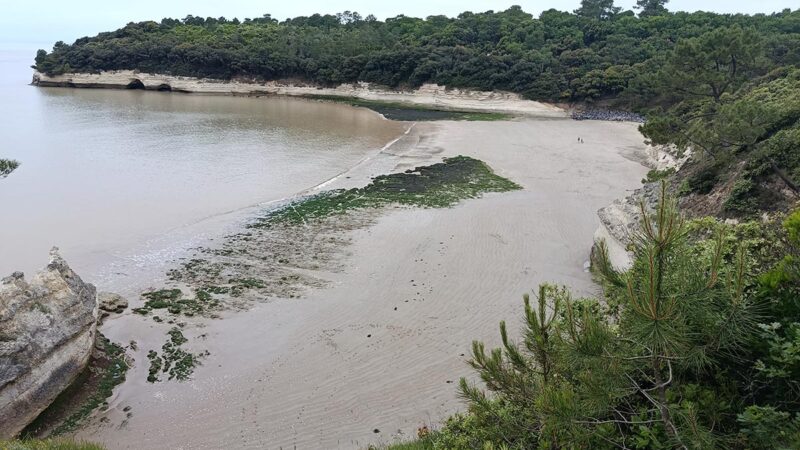 Plage de l'arnèche à Meschers-sur-Gironde
