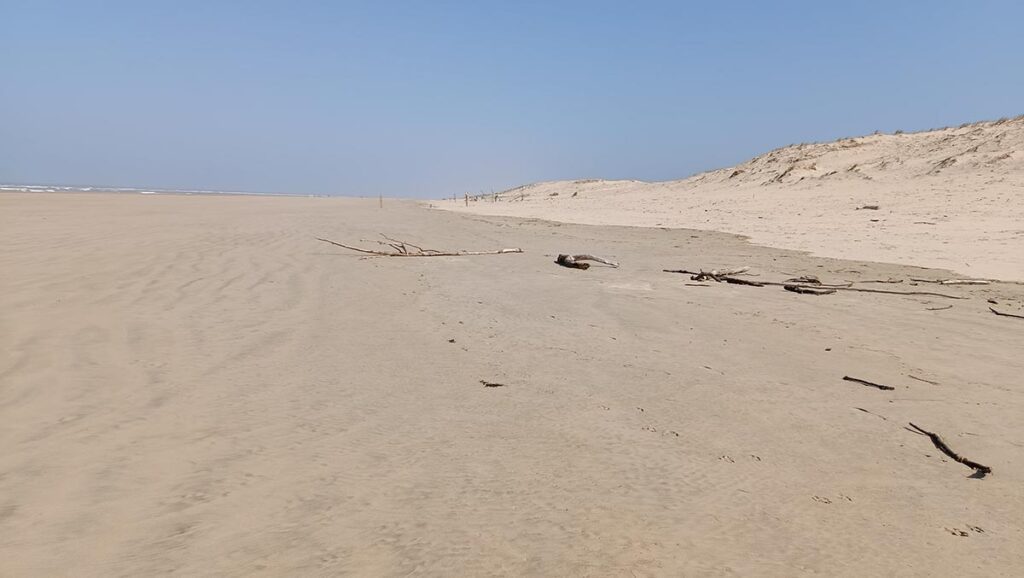 Plage de la coubre 2 1200x677
