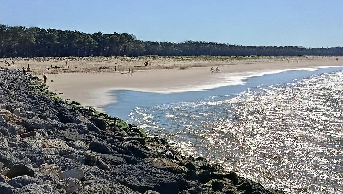 Plage des pins de cordouan
