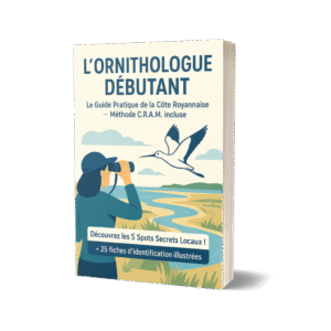 Livre ornithologue d&eacute;butant