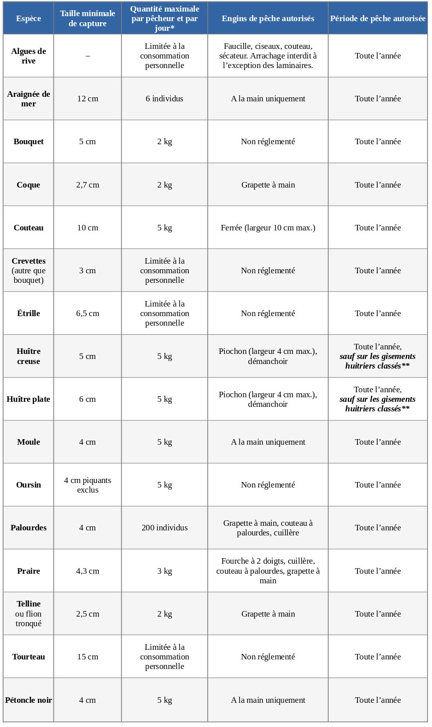 Réglementation pêche à pieds page