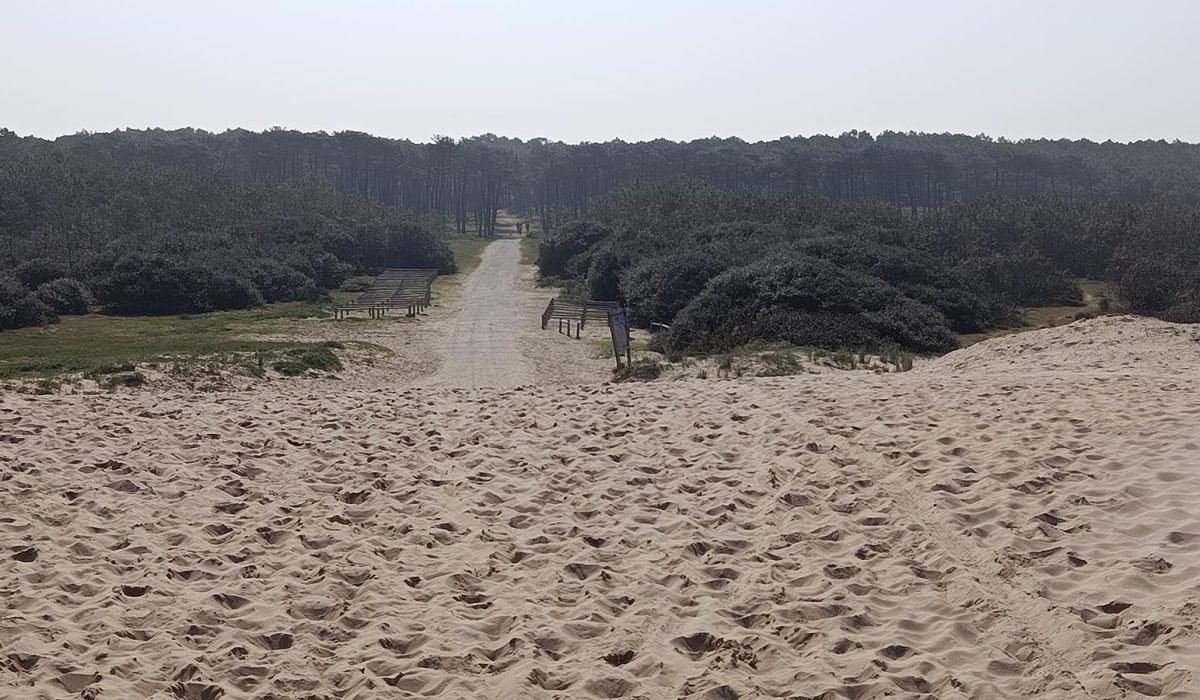 Plage de la bouverie